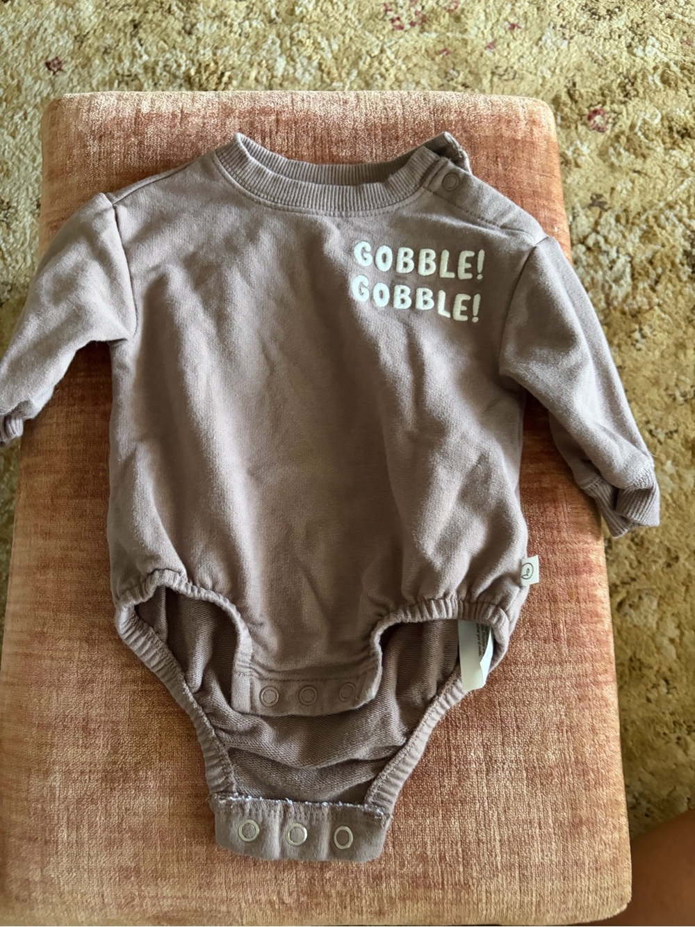 Kids One-Piece Bodysuit in Taupe with 'Gobble! Gobble!' 3 months embroidered EUC